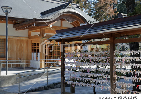 境内に結ばれたおみくじ(針名神社 愛知県 名古屋市) 境内に結ばれたおみくじ(針名神社 愛知県 名古屋市) 99062390