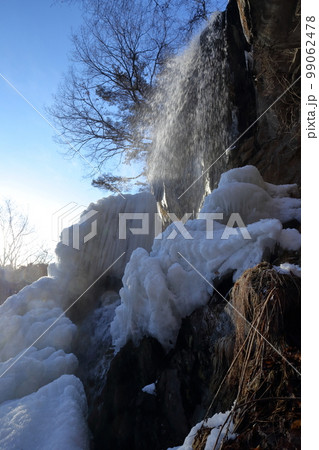 真冬の氷瀑（乙女滝　長野県 茅野市） 99062478