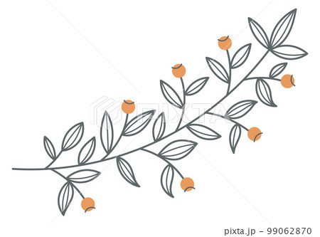 Botanical branch with leaves and blossom. Decorative ornate element 99062870