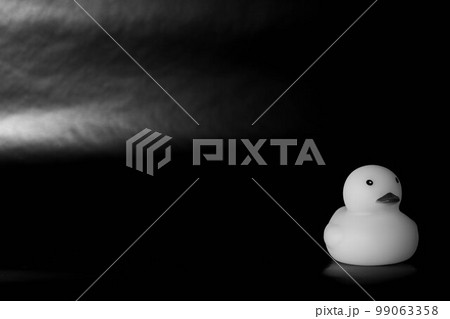 仲間外れにされ、かわいそうでひとりぼっちのあひる(右、モノクロ) 仲間外れにされ、かわいそうでひとりぼっちのあひる(右、モノクロ) 99063358