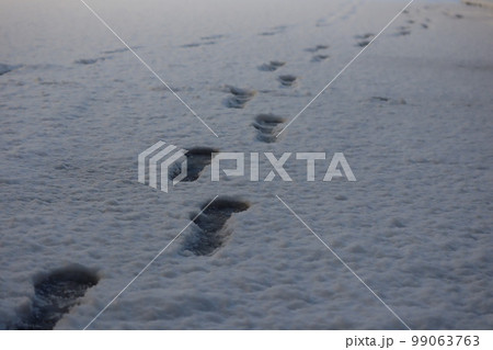 雪に残る足跡 雪に残る足跡 99063763