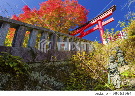 高尾山薬王院の鳥居と紅葉 / Mt. Takao, Tokyo 高尾山薬王院の鳥居と紅葉 / Mt. Takao, Tokyo 99063964