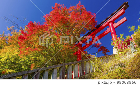 高尾山薬王院の鳥居と紅葉 / Mt. Takao, Tokyo 99063966