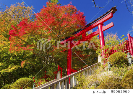 高尾山薬王院の鳥居と紅葉 / Mt. Takao, Tokyo 99063969