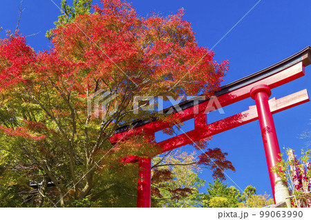 高尾山薬王院の鳥居と紅葉 / Mt. Takao, Tokyo 99063990