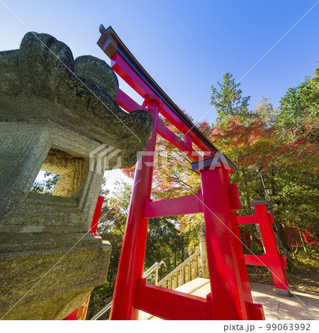 高尾山薬王院の鳥居と紅葉 / Mt. Takao, Tokyo 99063992