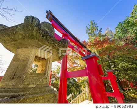高尾山薬王院の鳥居と紅葉 / Mt. Takao, Tokyo 99063993