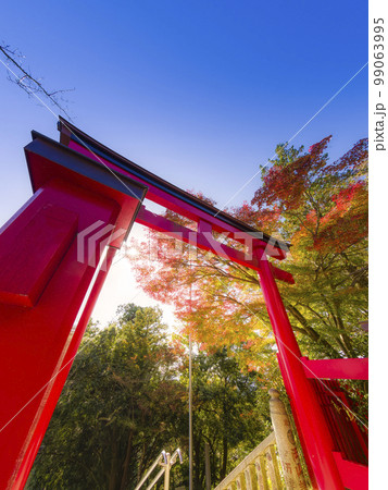 高尾山薬王院の鳥居と紅葉 / Mt. Takao, Tokyo 99063995