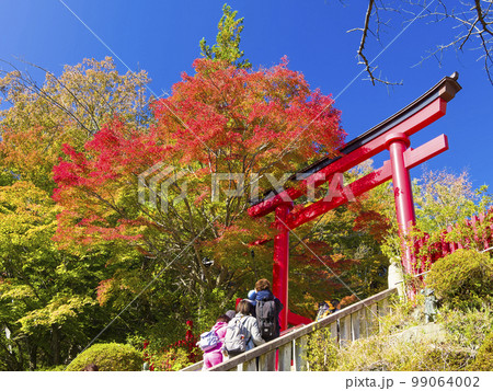 高尾山薬王院の鳥居と紅葉 / Mt. Takao, Tokyo 99064002
