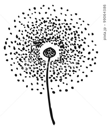 Dandelion drawing. Black ink flower sketch icon Dandelion drawing. Black ink flower sketch icon 99064386
