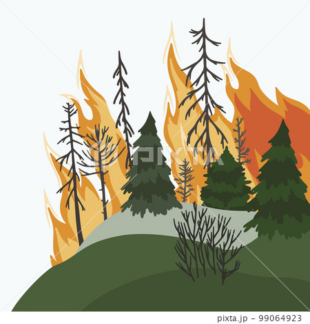 Forest fire. Dangerous wildfire. Pines in flame. Forest fire. Dangerous wildfire. Pines in flame. 99064923