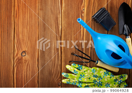 Garden tools on wooden background with space for text top view Garden tools on wooden background with space for text top view 99064928