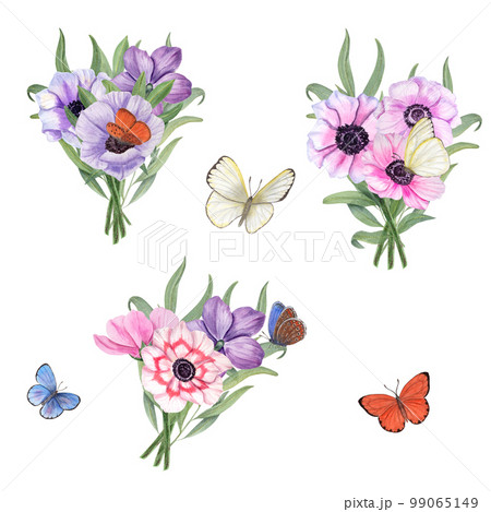 Watercolor set with anemones and butterflies isolated on white background. Floral elements for create Valentines day, birthday and mothers day cards, wedding invitation, for wrapping paper or textiles Watercolor set with anemones and butterflies isolated on white background. Floral elements for create Valentines day, birthday and mothers day cards, wedding invitation, for wrapping paper or textiles 99065149