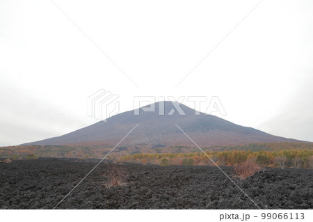 活動中の楯状火山