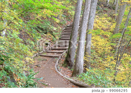 紅葉する森の山道（中津川渓谷　福島県 裏磐梯） 99066295