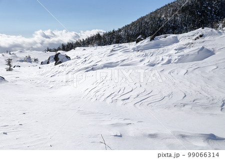 雪景色（北横岳　坪庭自然園　長野県 茅野市） 99066314