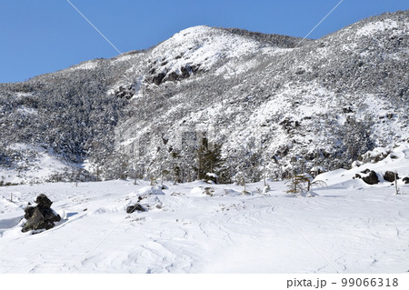 雪景色(北横岳 坪庭自然園 長野県 茅野市) 雪景色(北横岳 坪庭自然園 長野県 茅野市) 99066318