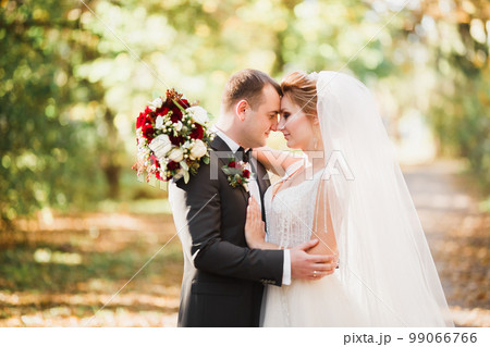 Romantic, fairytale, happy newlywed couple hugging and kissing in a park, trees in background 99066766