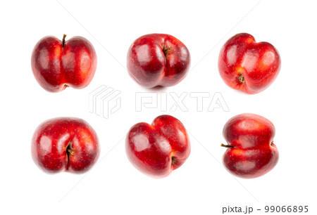 Red Apple Looks Like a Human Butt Isolated, Apple Buttocks Collection on White Background Red Apple Looks Like a Human Butt Isolated, Apple Buttocks Collection on White Background 99066895