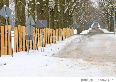 Tree trunk protection. A tree trunk covered with boards to protect from damage during a nearby construction site. Trees on the side of the road in the city. 99067317