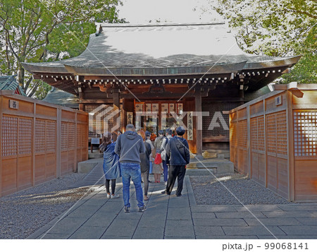 川越氷川神社（川越） 99068141