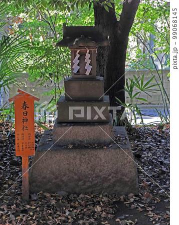 川越氷川神社(川越) 川越氷川神社(川越) 99068145
