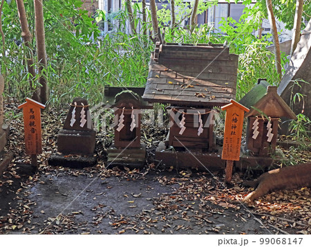 川越氷川神社（川越） 99068147