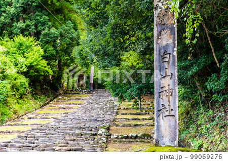 福井県 平泉寺白山神社 ~精進坂~ 福井県 平泉寺白山神社 ~精進坂~ 99069276