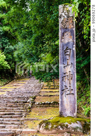 福井県 平泉寺白山神社 ~精進坂~ 福井県 平泉寺白山神社 ~精進坂~ 99069278
