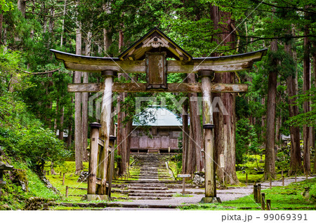 福井県 平泉寺白山神社　～二の鳥居～ 99069391