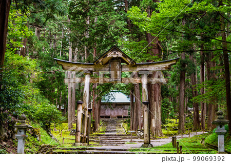 福井県 平泉寺白山神社 ~二の鳥居~ 福井県 平泉寺白山神社 ~二の鳥居~ 99069392