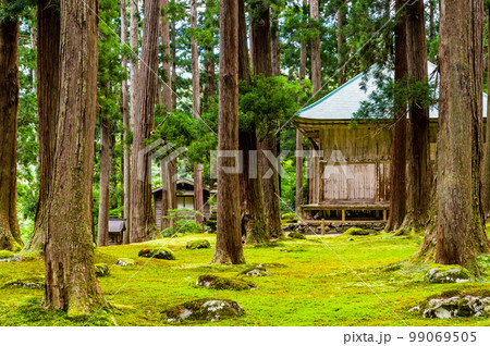 福井県 平泉寺白山神社　～苔の庭園～ 99069505