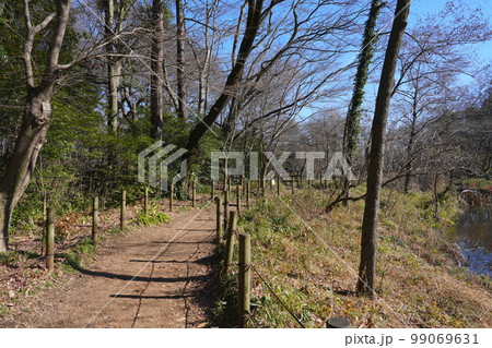 冬の石神井公園2 冬の石神井公園2 99069631