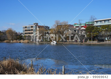 冬の石神井公園13 冬の石神井公園13 99069642