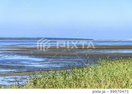 北海道 サロマ湖キムネアップ岬 北海道 サロマ湖キムネアップ岬 99070473