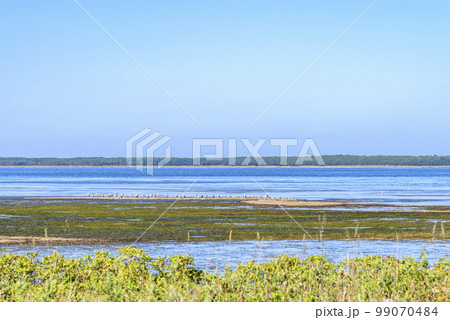 北海道 サロマ湖キムアネップ岬 北海道 サロマ湖キムアネップ岬 99070484