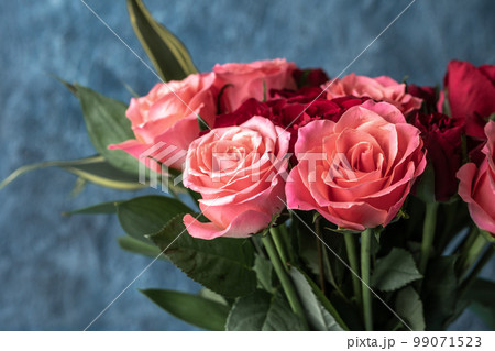 バラの花 マクロイメージ 室内撮影 バラの花 マクロイメージ 室内撮影 99071523