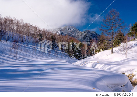 長野県・山ノ内町 冬の志賀高原の風景 長野県・山ノ内町 冬の志賀高原の風景 99072054