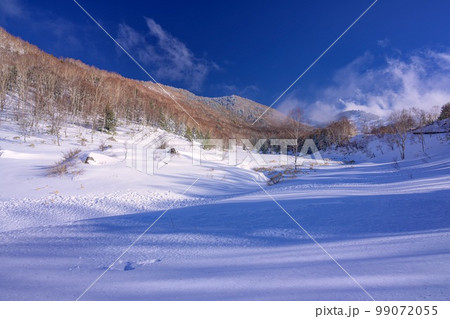 長野県・山ノ内町 冬の志賀高原の風景 長野県・山ノ内町 冬の志賀高原の風景 99072055