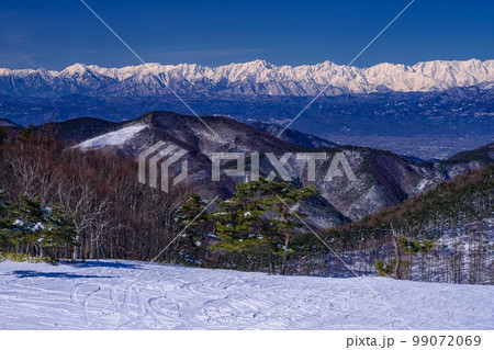長野県・須坂市 冬の峰の原高原から望む北アルプスの風景 99072069
