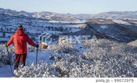 senior hiker in winter scenery of Rocky Mountains foothills in northern Colorado, Lory State Park 99072979