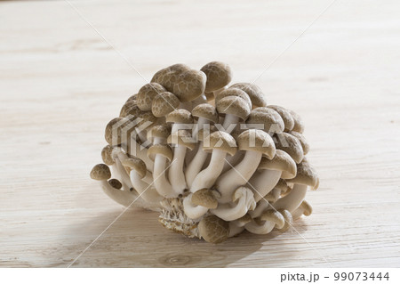 ブナシメジ　日本の栽培きのこ 99073444