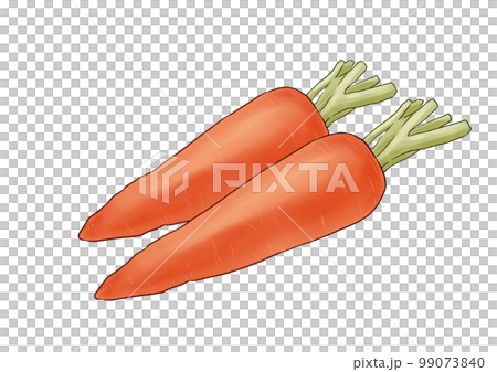 2 carrots 2 carrots 99073840
