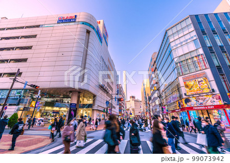 日本の東京都市景観 池袋駅前の繁華街などを望む 日本の東京都市景観 池袋駅前の繁華街などを望む 99073942
