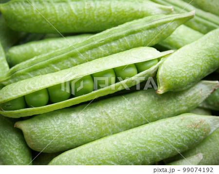 うすい豌豆 うすい豌豆 99074192