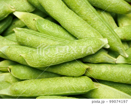 うすい豌豆 99074197