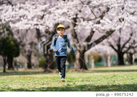 8 years old 8 years old 99075242