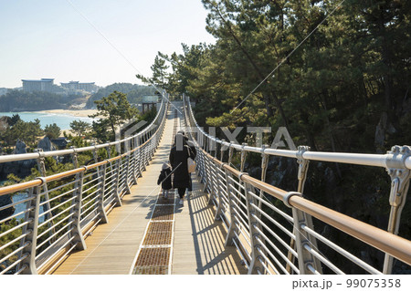 韓国 自然 風景 99075358