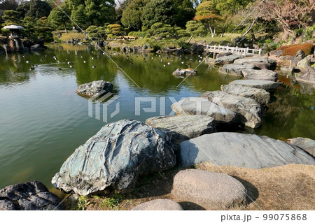 清澄庭園 清澄庭園 99075868
