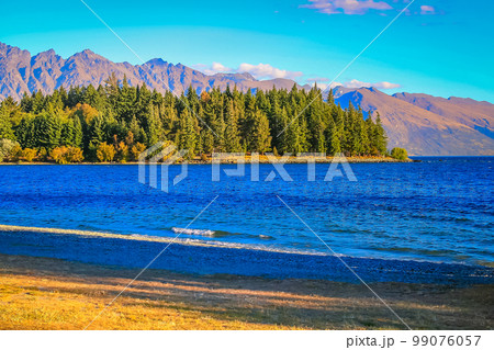 Lake Wakatipu coastline in south New Zealand, near Queenstown Lake Wakatipu coastline in south New Zealand, near Queenstown 99076057